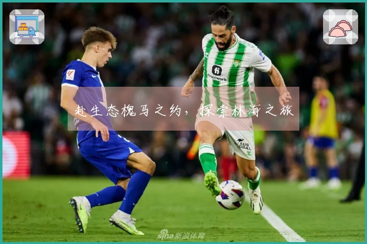 赴生态槐马之约，探索林海之旅