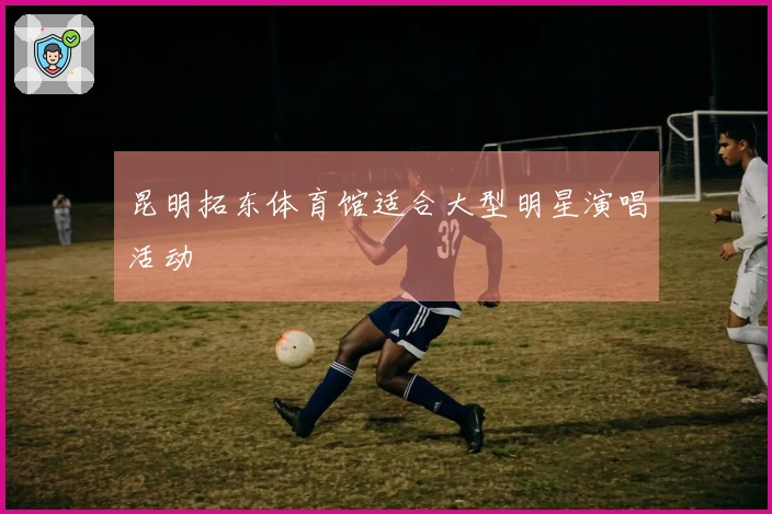 昆明拓东体育馆适合大型明星演唱活动